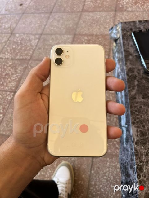 IPhone 11, Ağ