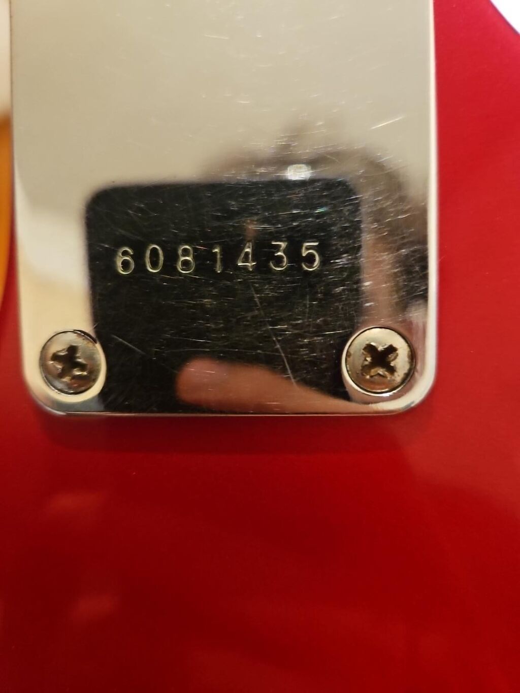 Peavey Predator elektro gitarası və Roland GR-30 gitara sintezatoru — Mallar, Bakı (3)