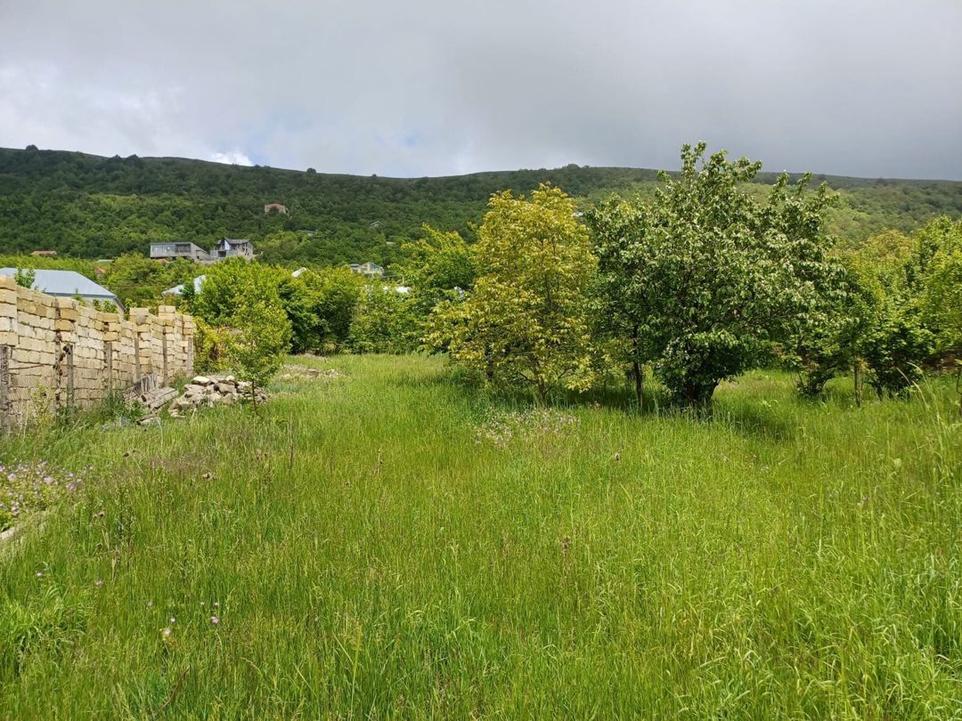 12 sot torpaq sahəsi, Şamaxı r — Torpaq, Şamaxı (6)