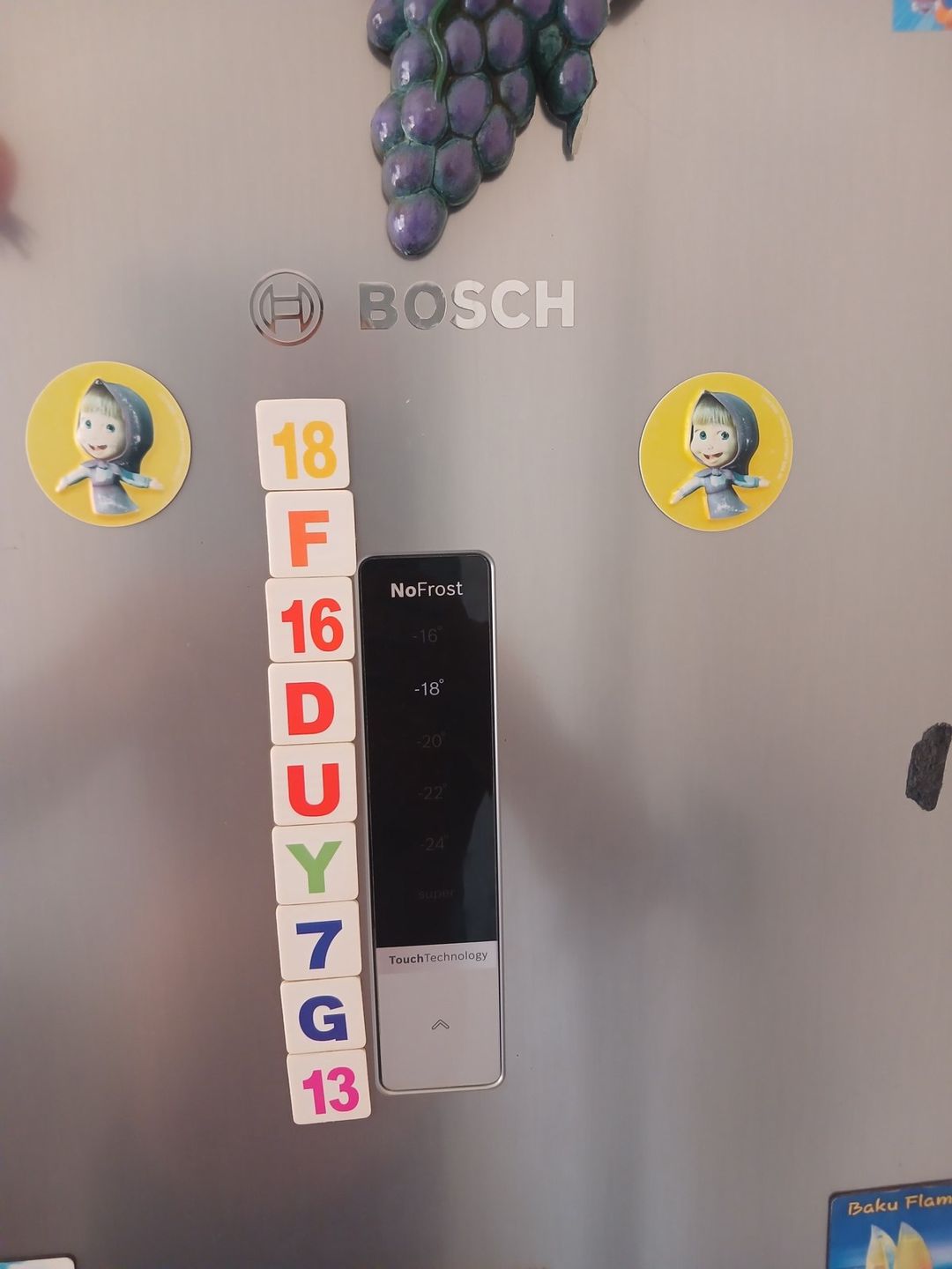 Soyuducu Bosch — Ev texnikası, Bakı (3)