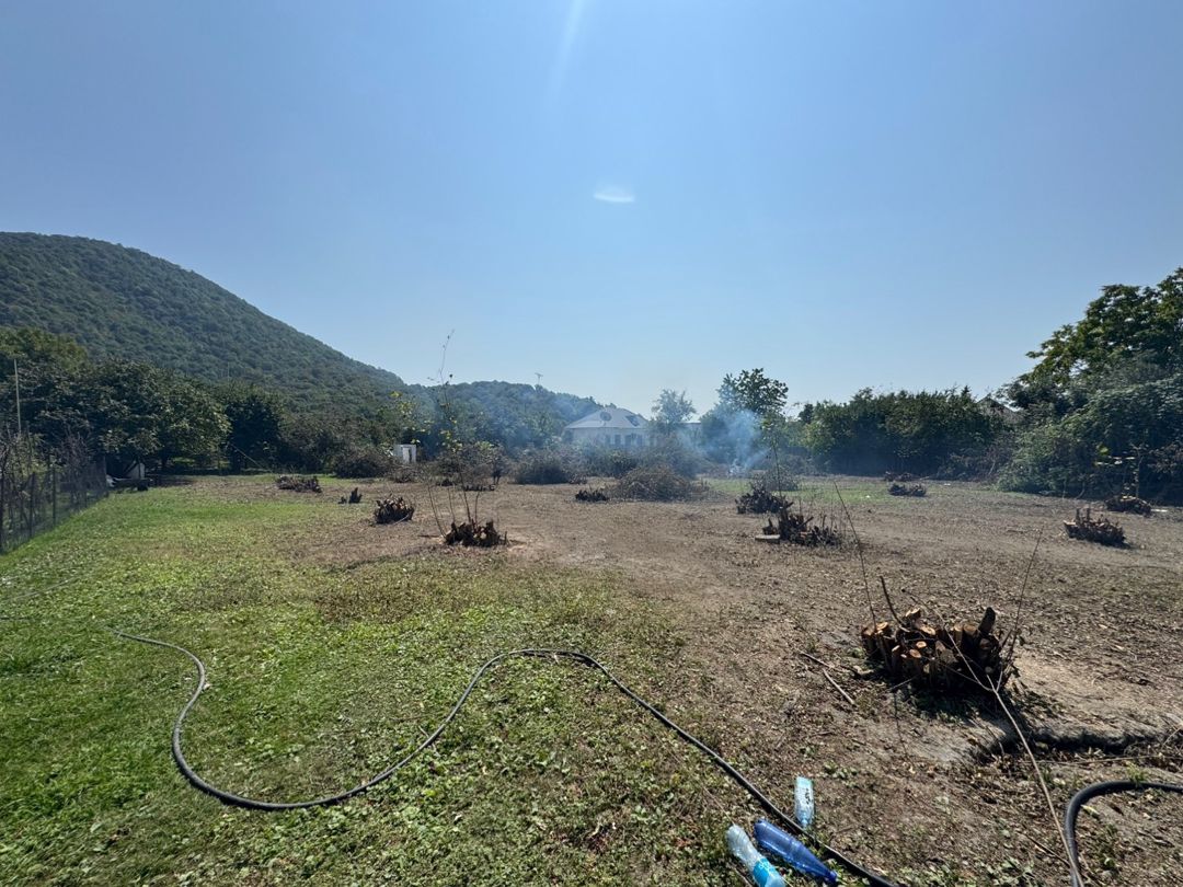 16 sot torpaq sahəsi, Zaqatala ş — Torpaq, Zaqatala (4)