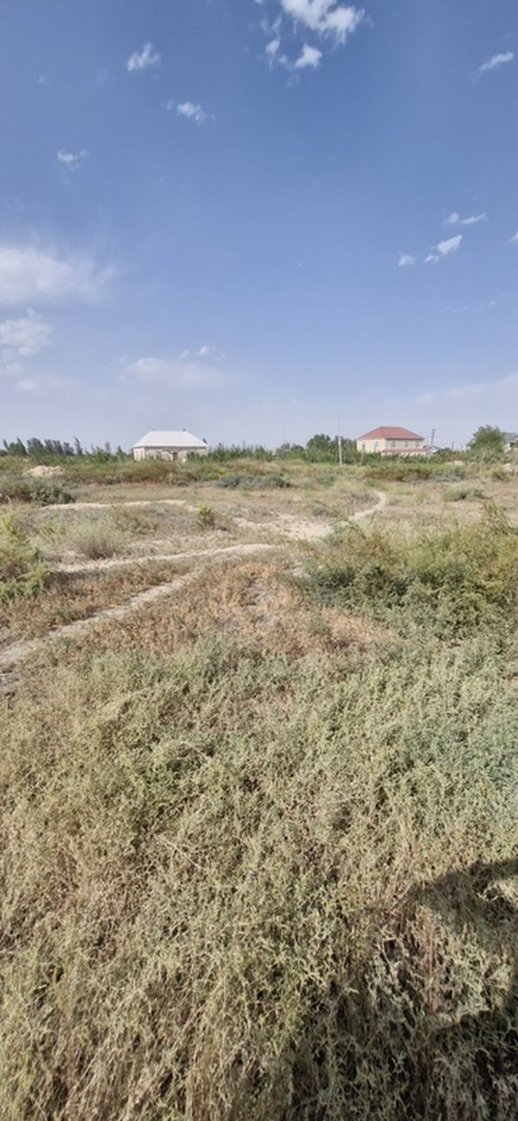 Tikinti — Torpaq, Salyan (7)
