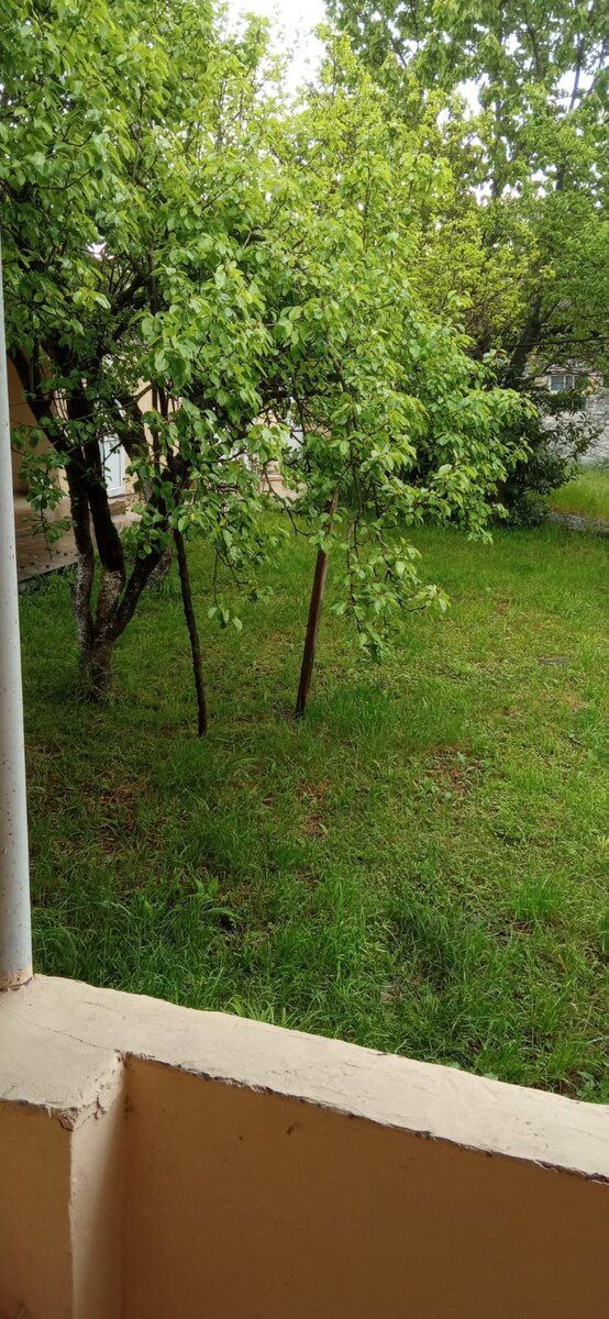 Həyət evi kirayə verilir, İsmayıllı ş — Ev, villa, İsmayıllı (6)