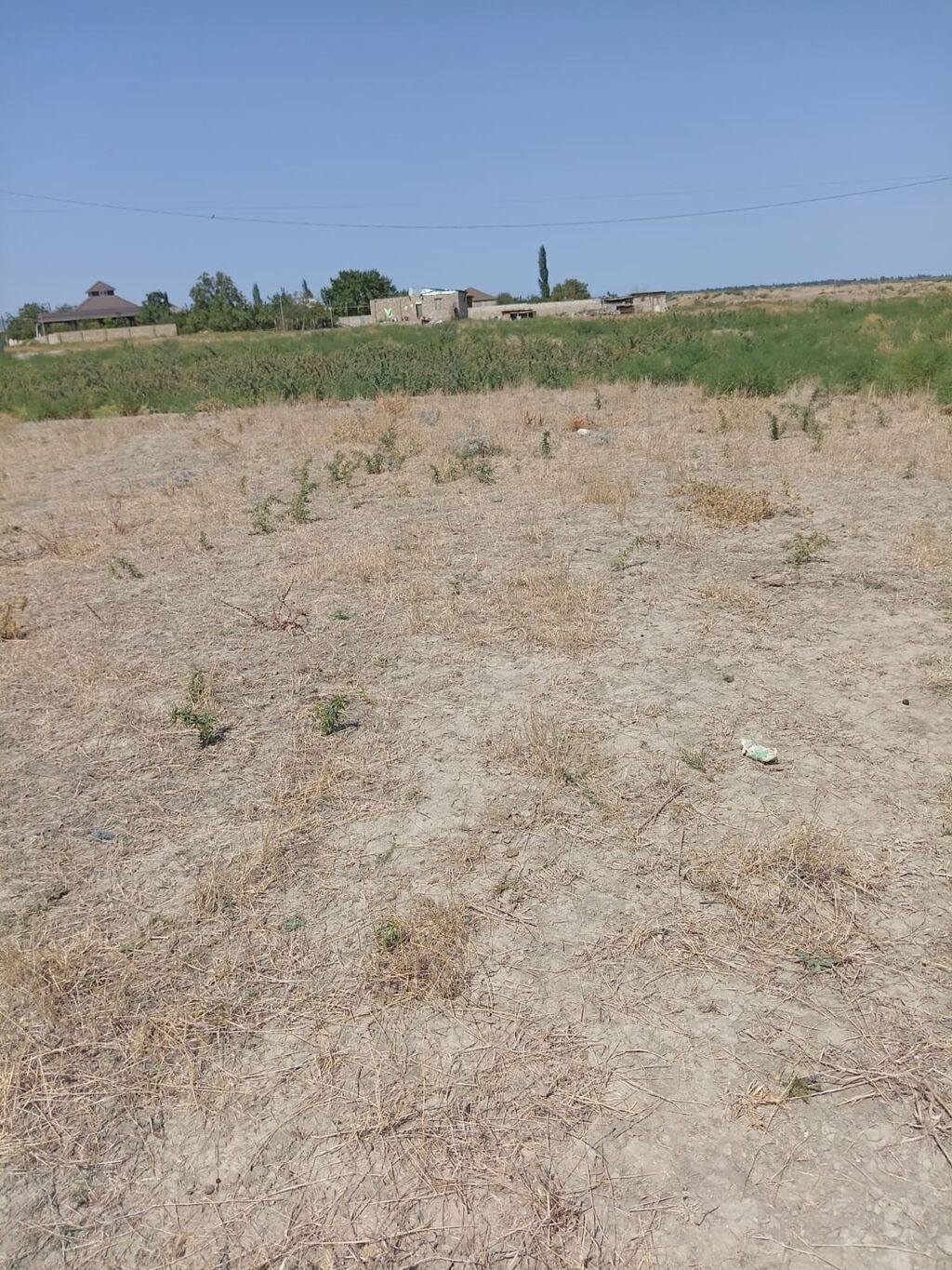 Tikinti — Torpaq, Bakı (2)