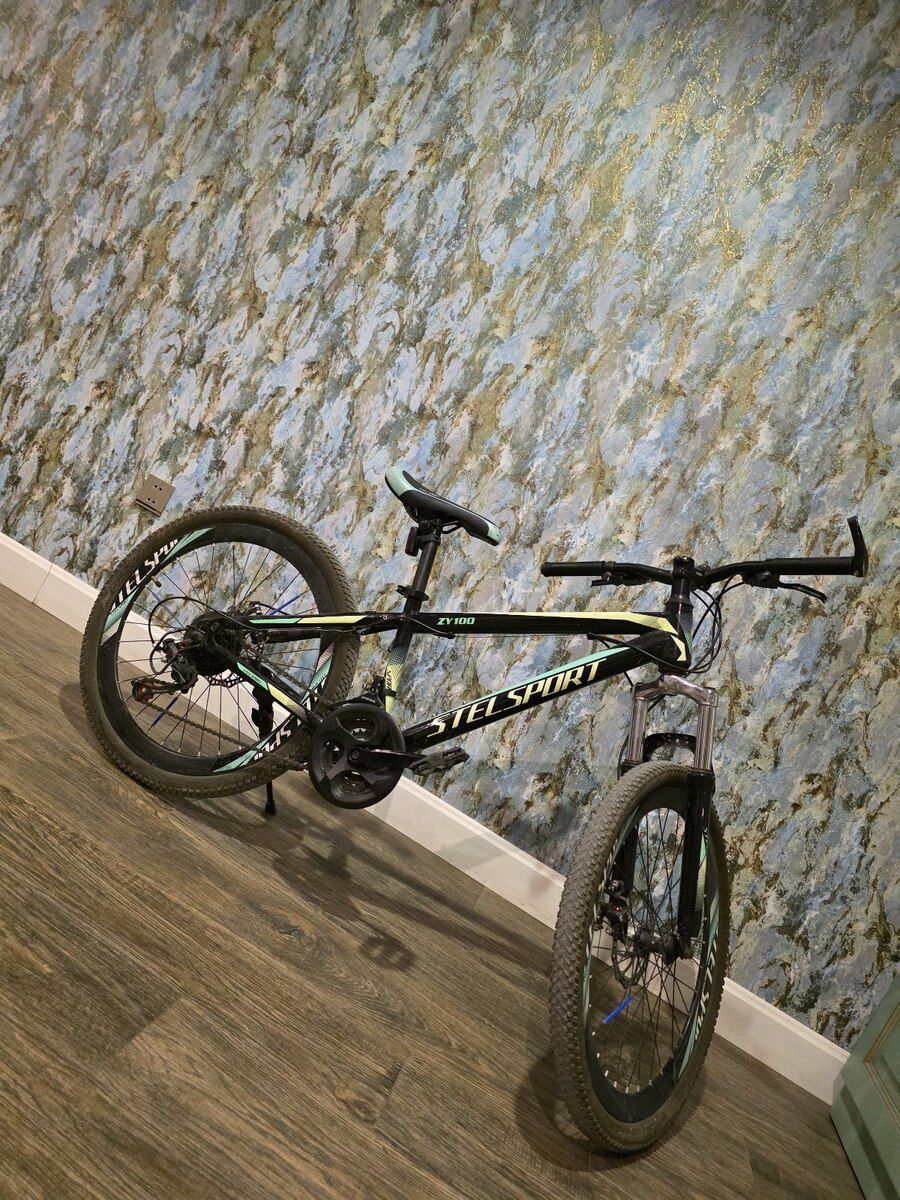 Velosiped Stelsport 24.5 — Velosipedlər, Bakı