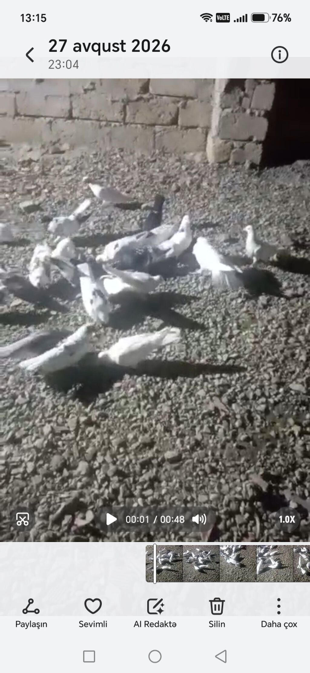 21 eded goyercinler. Kom satlir 5.50 — Quşlar, Bakı (3)