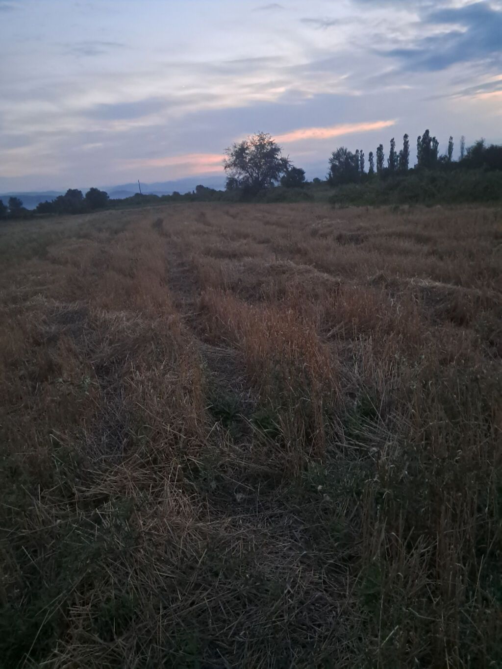 64 sot, Kənd təsərrüfatı, Kupça (Çıxarış) — Torpaq, Xaçmaz (2)