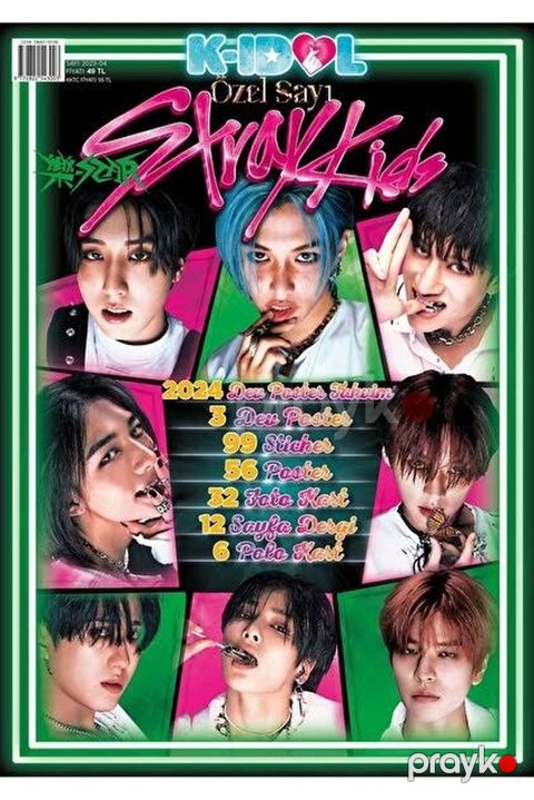 K-İdol “Özel Sayı Stray Kids” xüsusi buraxılış jurnalı. Jurnal Stray — Digah
