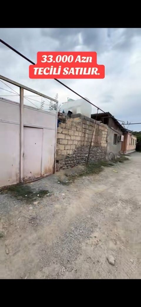 Tikinti — Gəncə