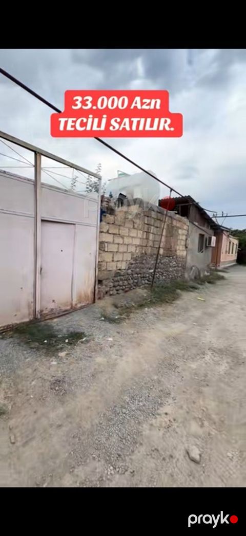 Tikinti