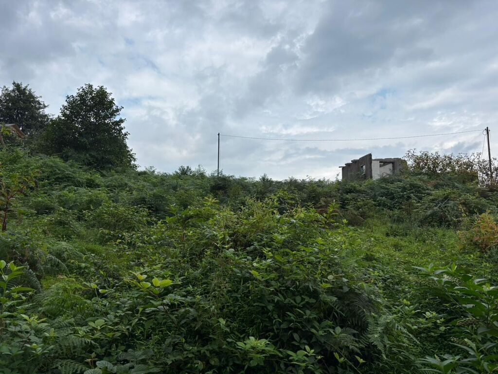 Tikinti — Torpaq, Bakı (9)