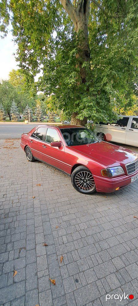 Mercedes C 180, 1.8 L, 1994 il, 500 000 km — Avtomobillər, Qəbələ (6)
