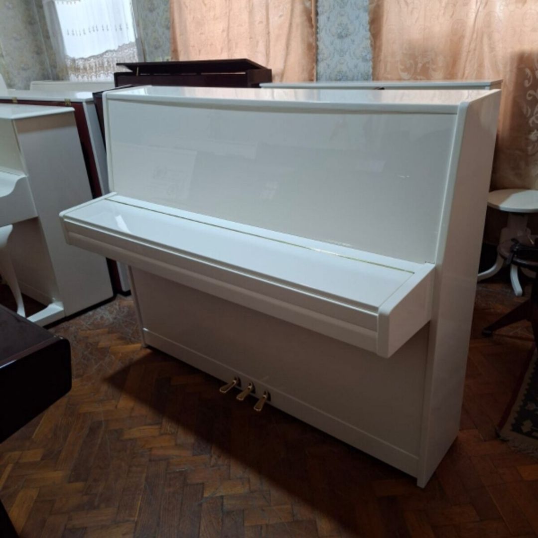 Fortepiano "Weinbasch" — Musiqiə alətləri, Bakı (4)