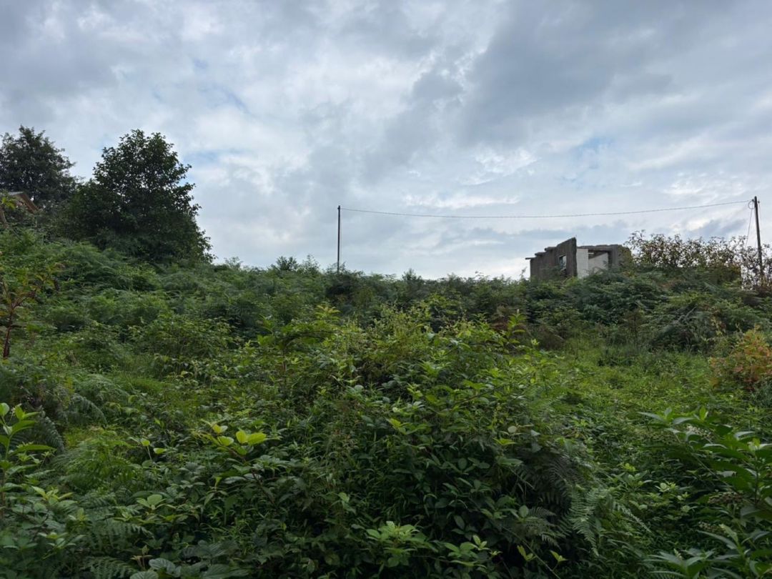 10 sot torpaq sahəsi, Batumi ş — Daşınmaz əmlak, Bakı (9)
