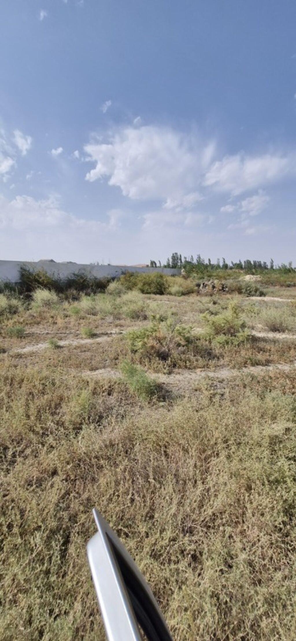 Tikinti — Torpaq, Salyan (6)