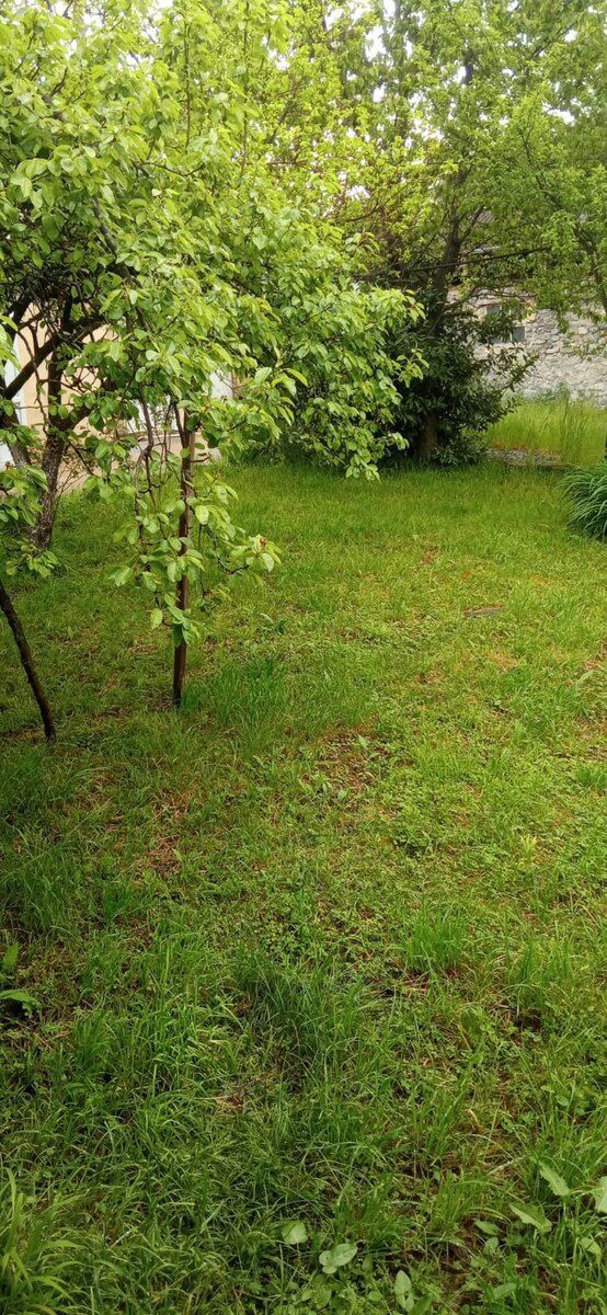 Həyət evi kirayə verilir, İsmayıllı ş — Ev, villa, İsmayıllı (10)