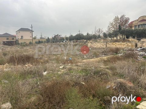 6 sot torpaq sahəsi, Biləcəri qəs