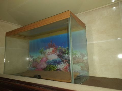 Dördbucaq akvarium, Boş, 10 l, Ünvandan götürmə — Bakı