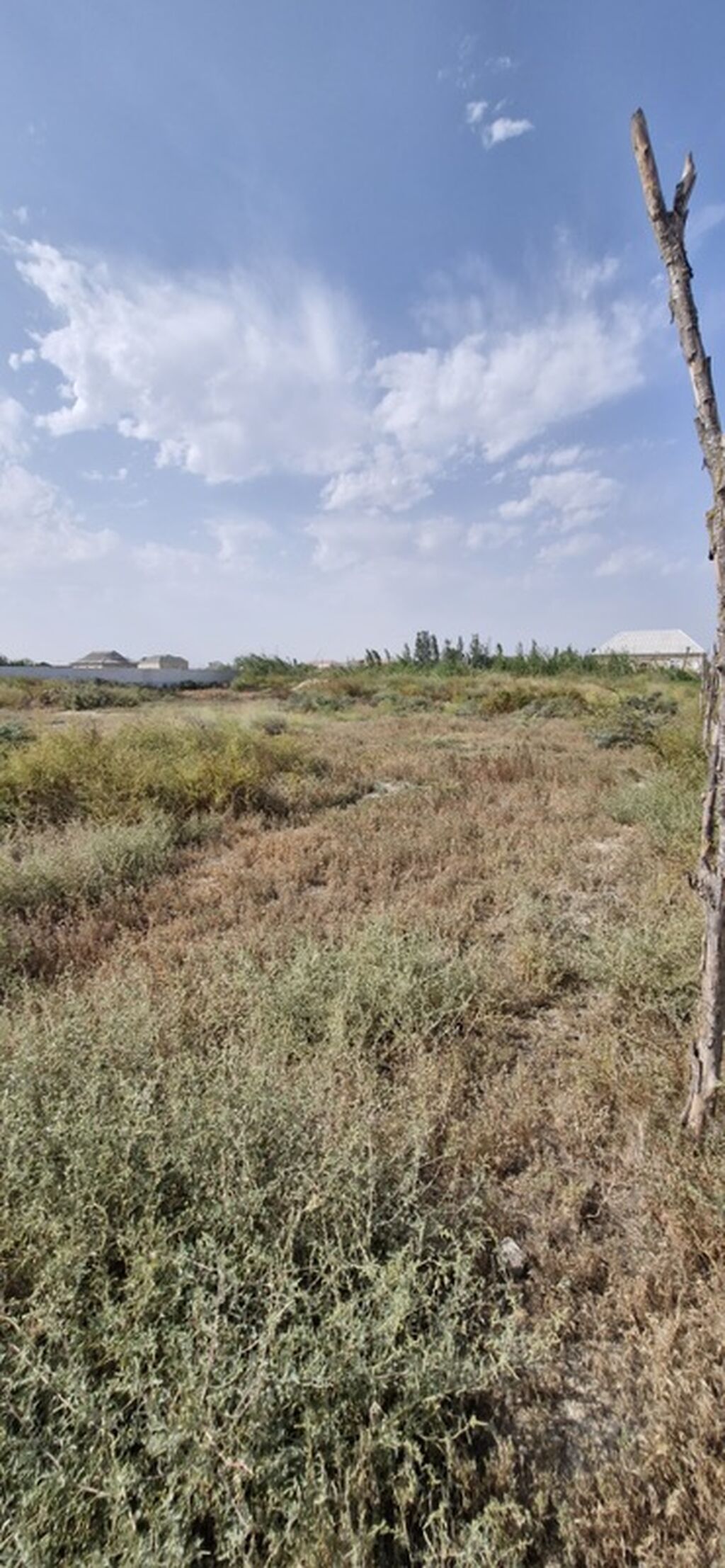 Tikinti — Torpaq, Salyan (2)
