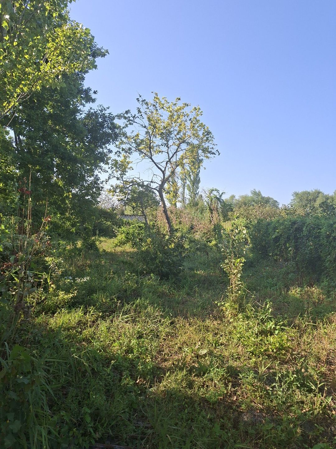 Həyət evi, Xaçmaz r — Ev, villa, Xaçmaz (9)