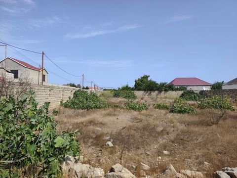 12 sot torpaq sahəsi, Albalı qəs — Bakı