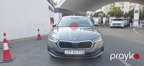 Skoda Octavia, 1.6 L, 2023 il, 73 500 km