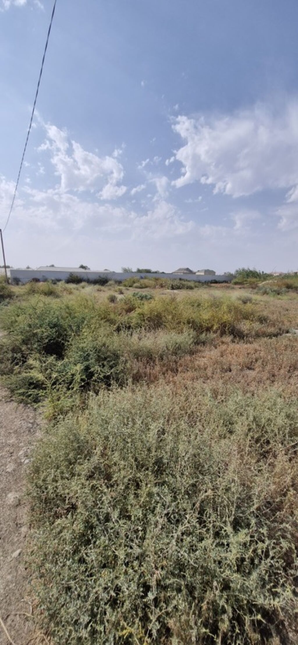 Tikinti — Torpaq, Salyan (3)