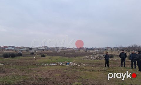 2 sot, Tikinti, Kupça (Çıxarış)