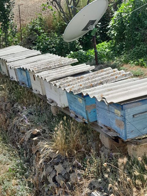 45 Arı ayləsi kom şəkildə satlır — Lerik