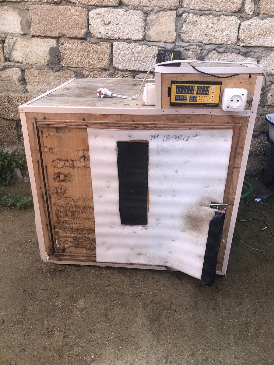 İnkubator — Biznes və avadanlıq, Bakı (6)