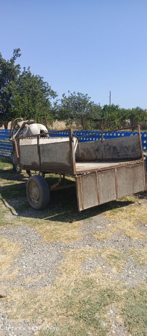 At arabası və qoşqu dəsti - İki təkərli, yarımörtülü taxta bortlu — Xızı