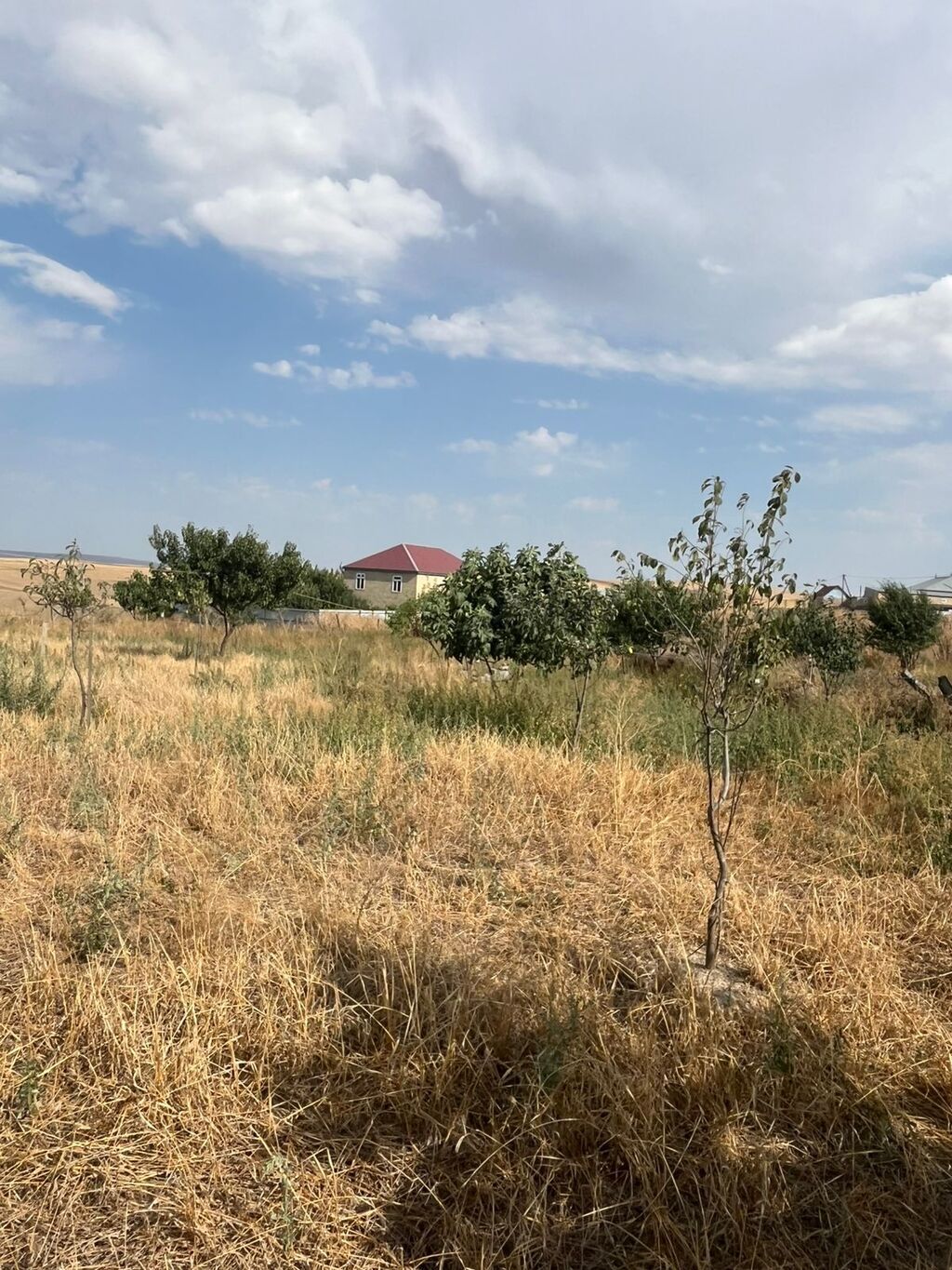 Tikinti — Torpaq, Bakı (3)