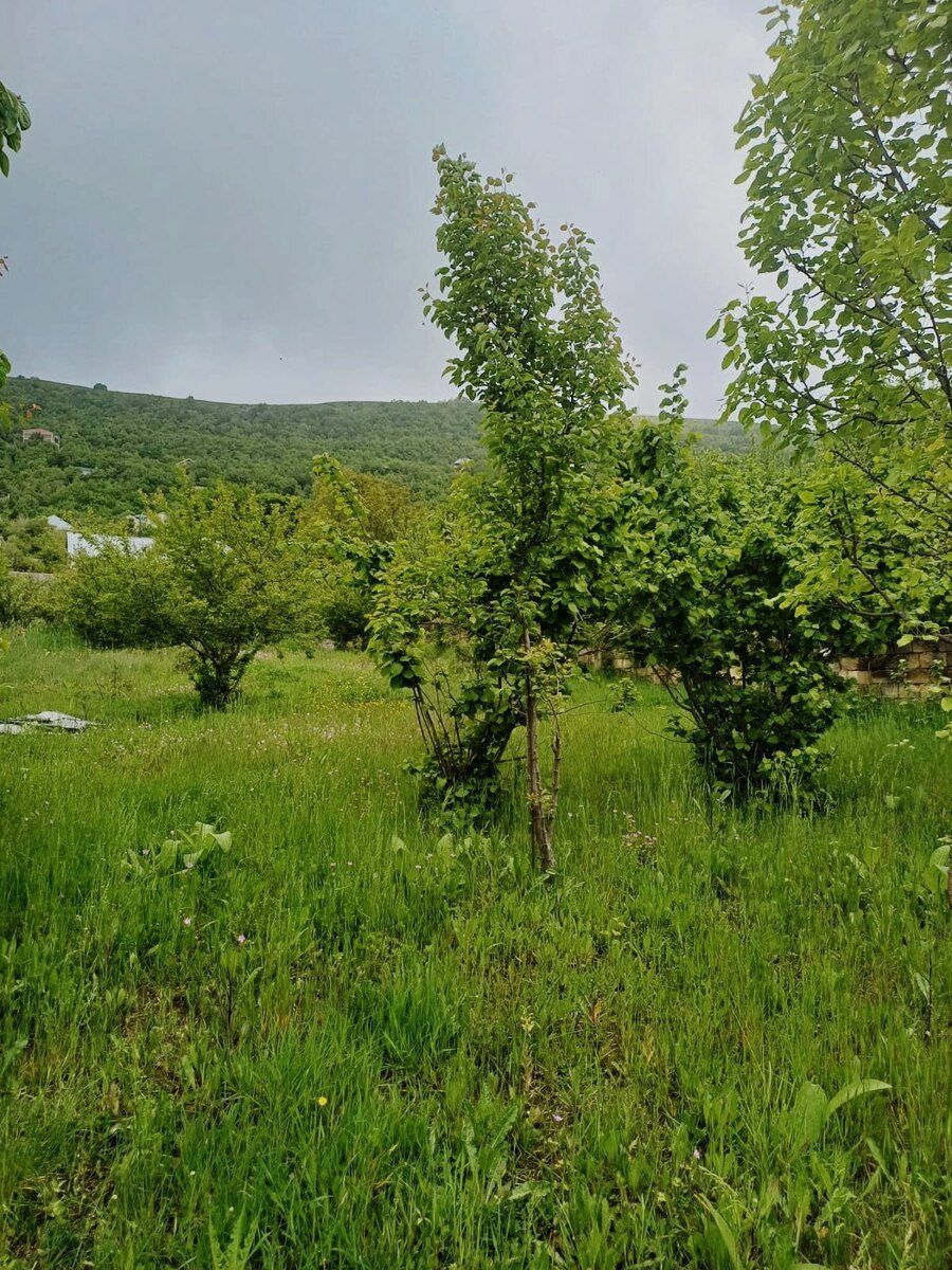12 sot torpaq sahəsi, Şamaxı r — Torpaq, Şamaxı (3)