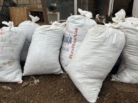 Quru mal peyinidi təmiz peyindi daş qayası yoxdu meşoğu 2 manat — Sumqayıt