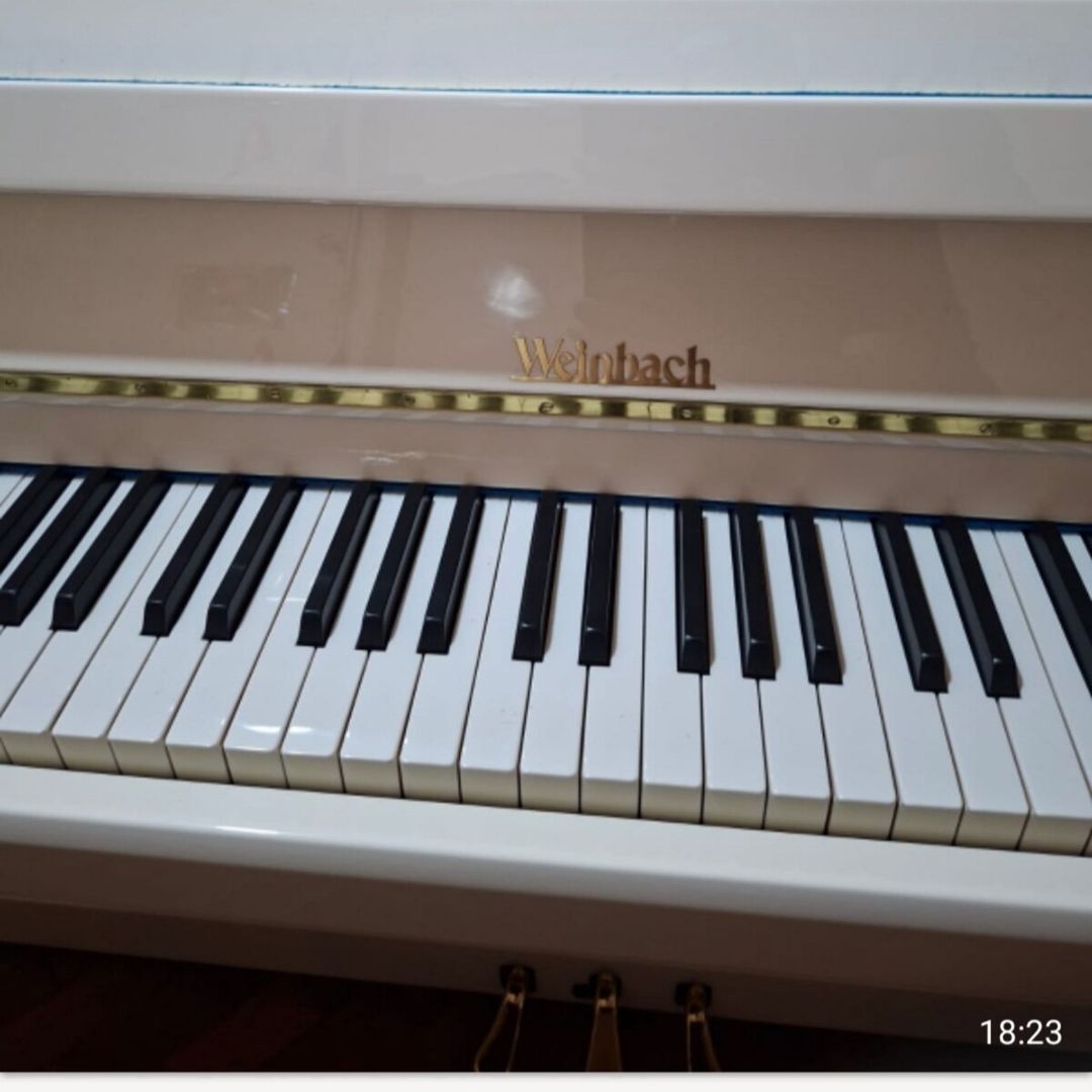 Fortepiano "Weinbasch" — Musiqiə alətləri, Bakı (3)