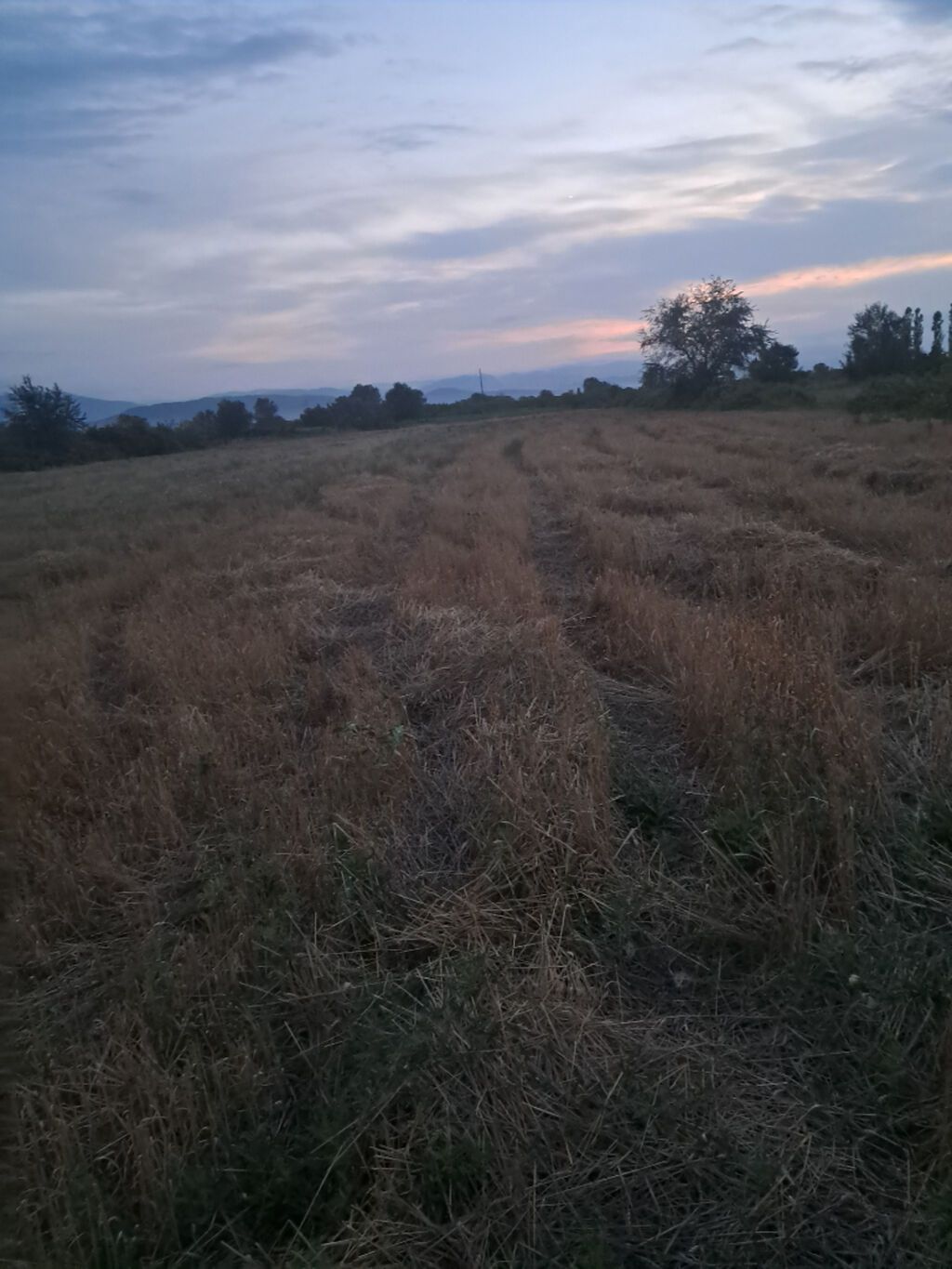 64 sot, Kənd təsərrüfatı, Kupça (Çıxarış) — Torpaq, Xaçmaz (3)
