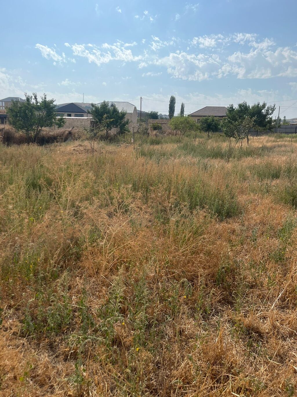 Tikinti — Torpaq, Bakı (4)