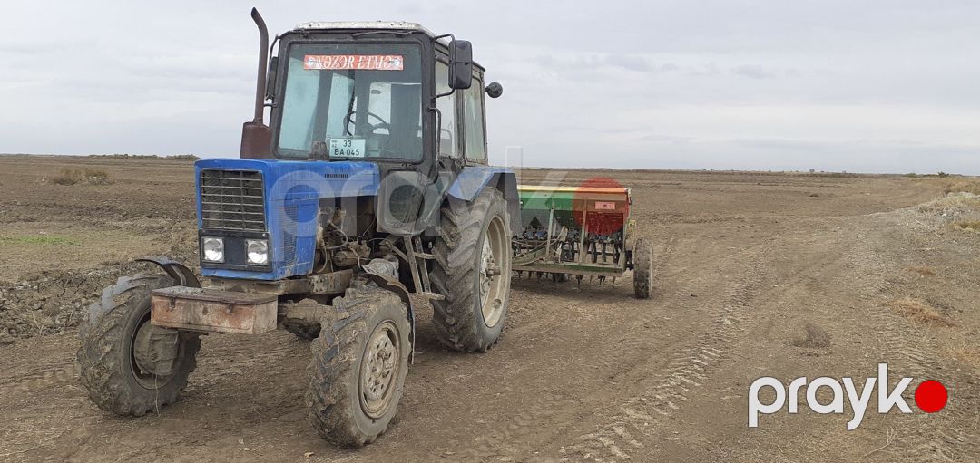 Mtz 82, 1989 il — Avto, Kürdəmir (3)