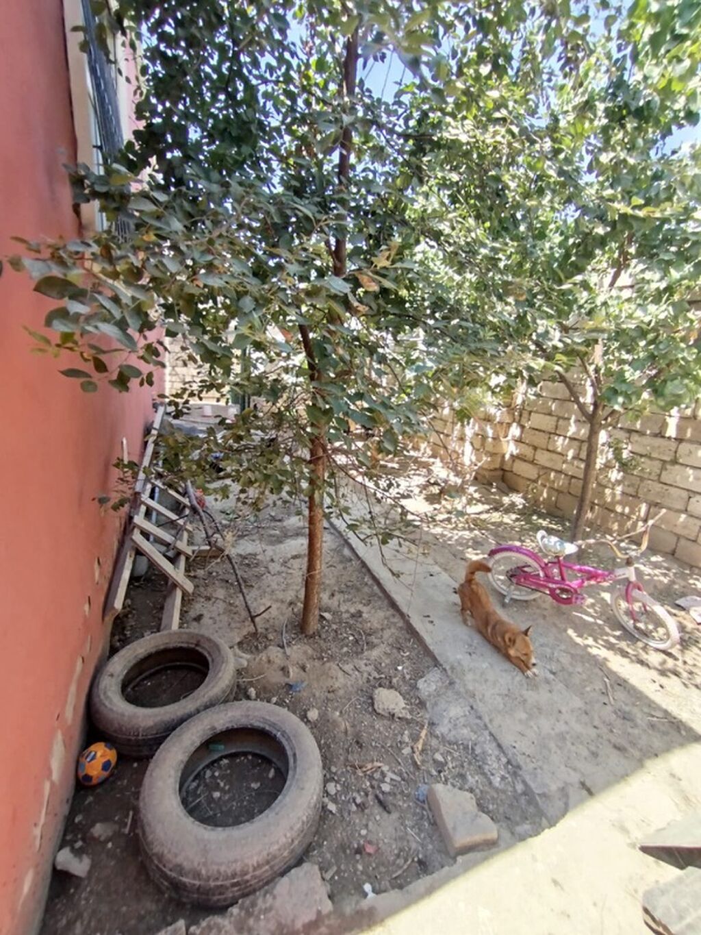 4 otaqlı, 130 kv. m, Orta təmir — Daşınmaz əmlak, Digah (4)