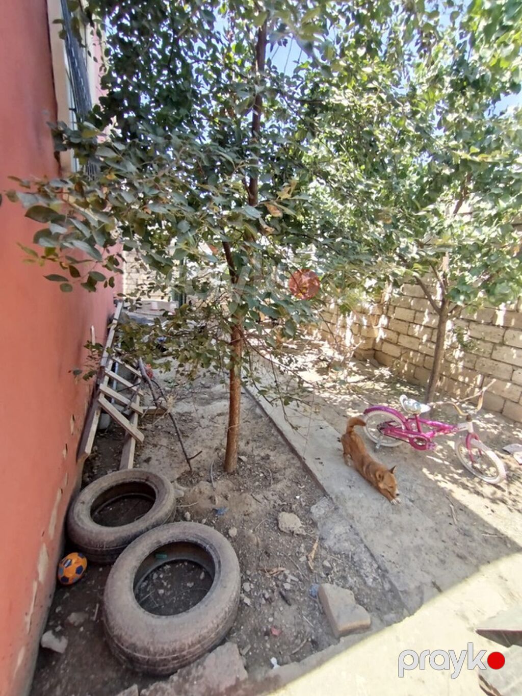4 otaqlı, 130 kv. m, Orta təmir — Daşınmaz əmlak, Digah (4)