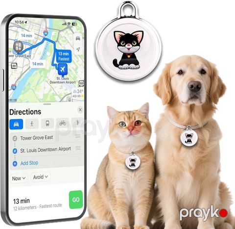Ev heyvanları üçün GPS — Bakı