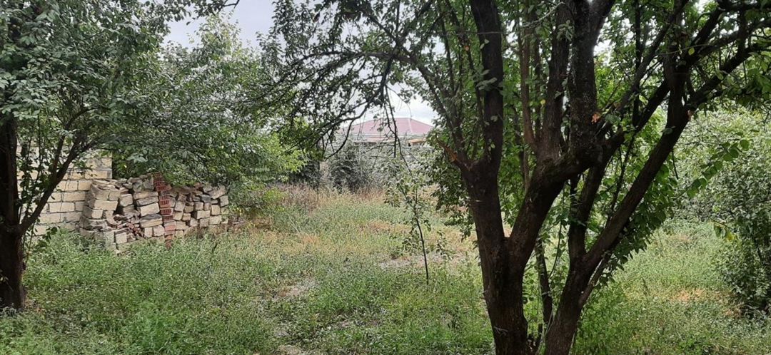 5 sot torpaq sahəsi, Quba r — Torpaq, Quba (2)