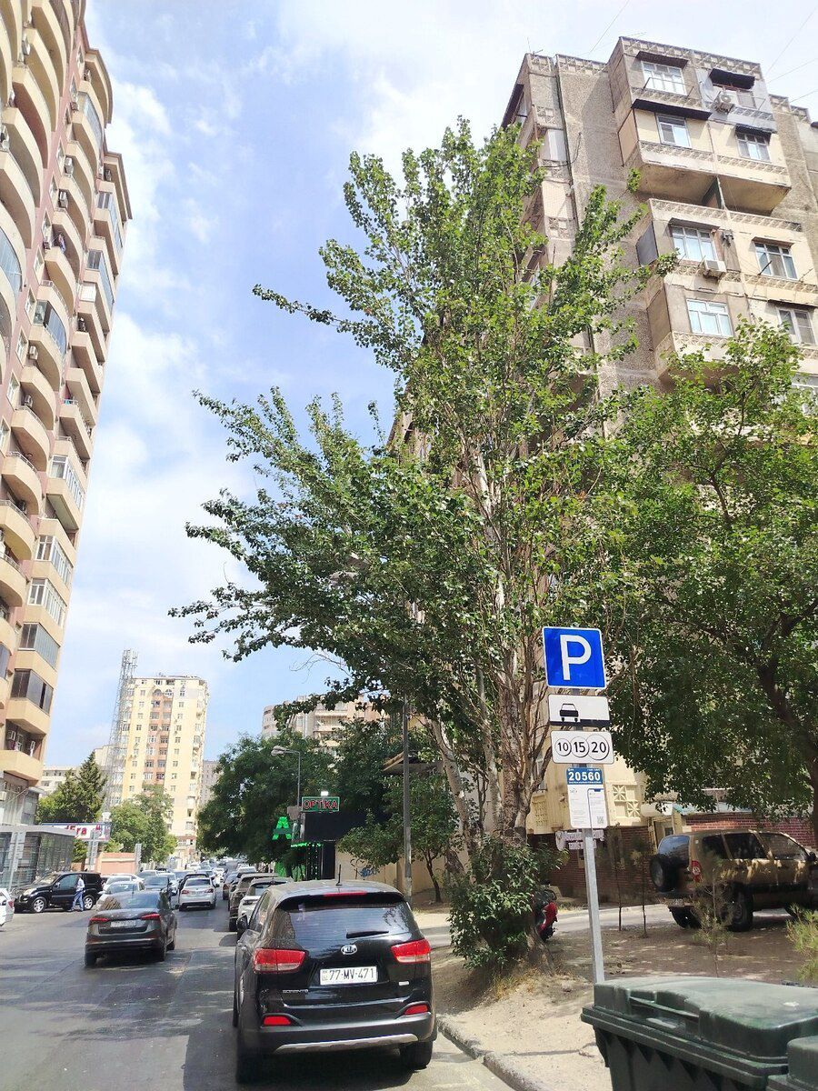 1-otaqlı mənzil kirayə verilir, Binəqədi r., 34 m² — Mənzil, Bakı (2)