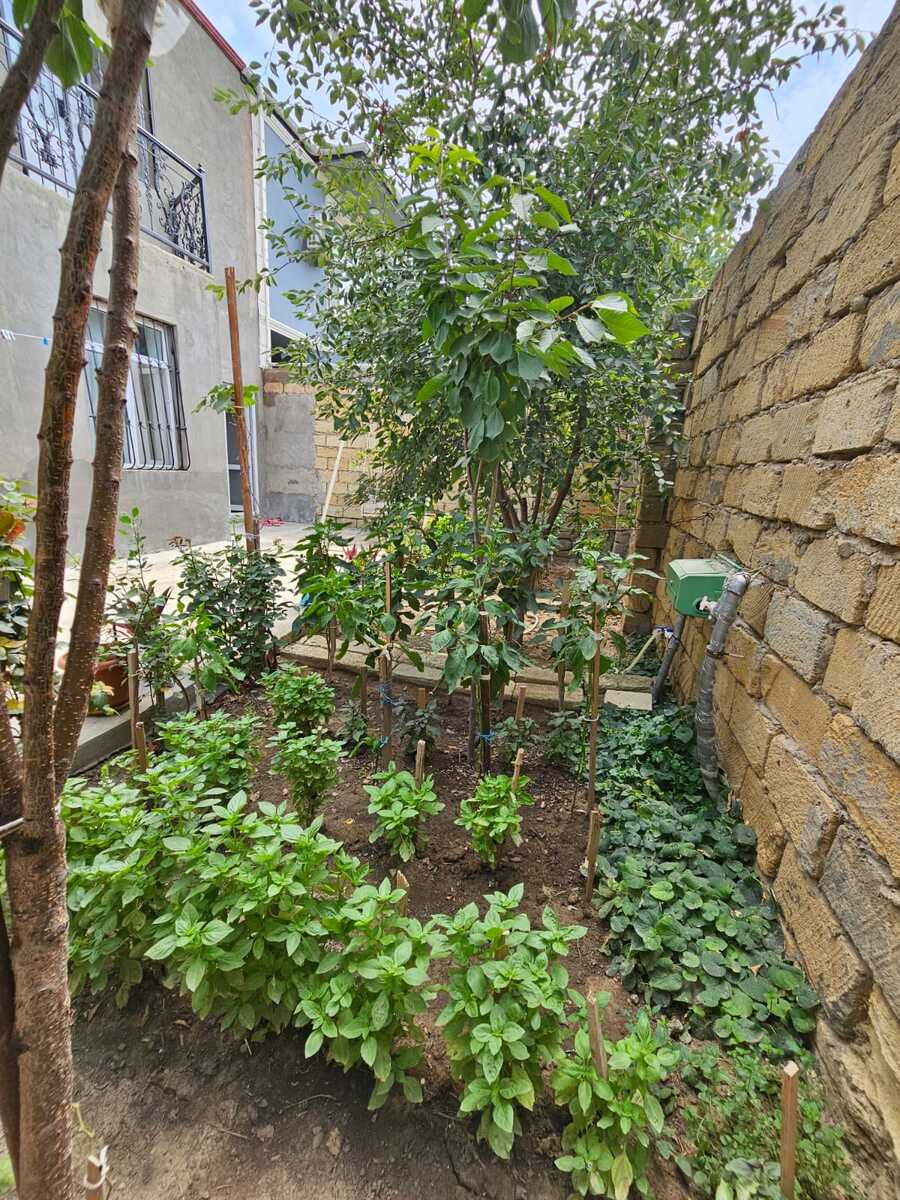 Həyət evi, Gülüstan küç.10 — Ev, villa, Bakı (2)