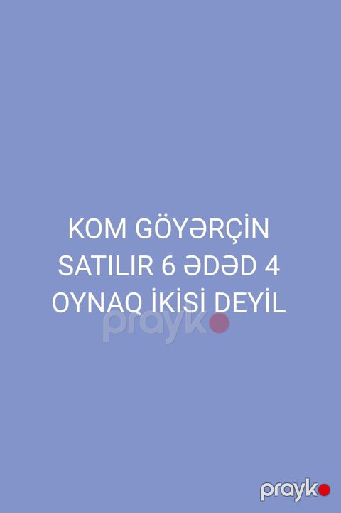 Kom göyərçin dəsti - Ümumi say: 6 ədəd - Xüsusiyyət: 4-ü oynaq, 2-si