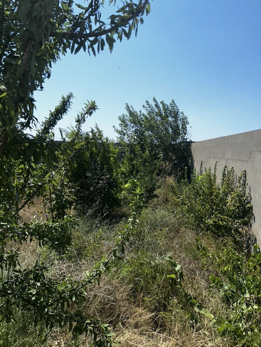 Nardaran qəs. 4 otaqlı, 180 kv. m, Kredit yoxdur, Orta təmir — Daşınmaz əmlak, Bakı (4)