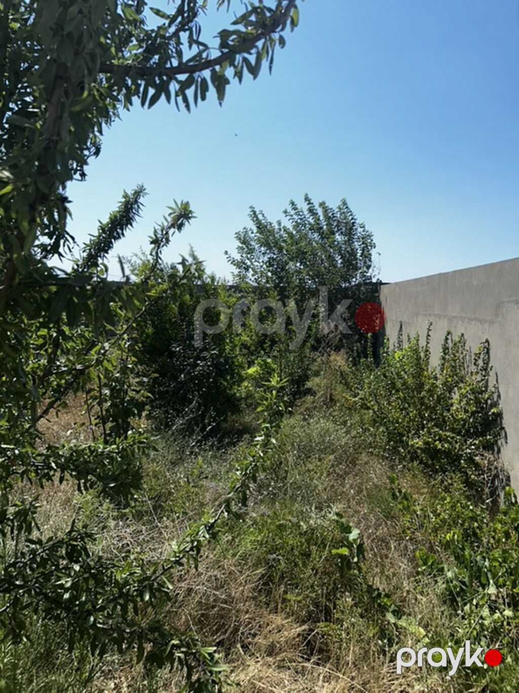 Nardaran qəs. 4 otaqlı, 180 kv. m, Kredit yoxdur, Orta təmir — Daşınmaz əmlak, Bakı (4)