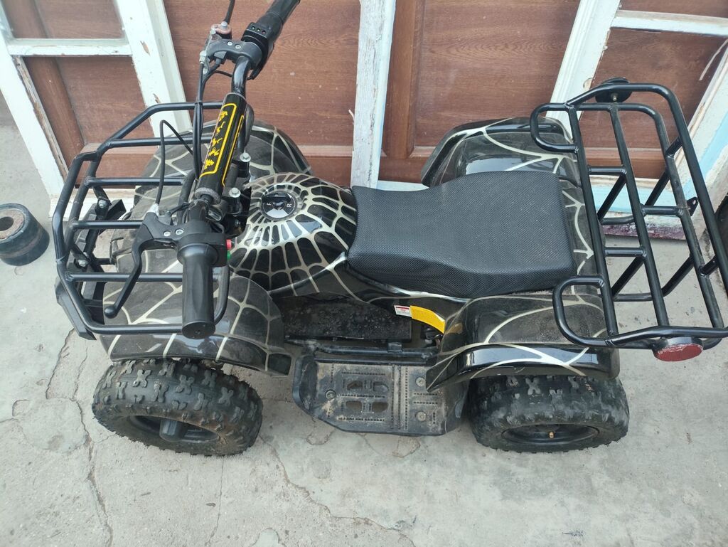 Uşaq/yeniyetmə üçün mini ATV (kvadrotsikl) - Gövdə rəngi — Avto, Digah (2)