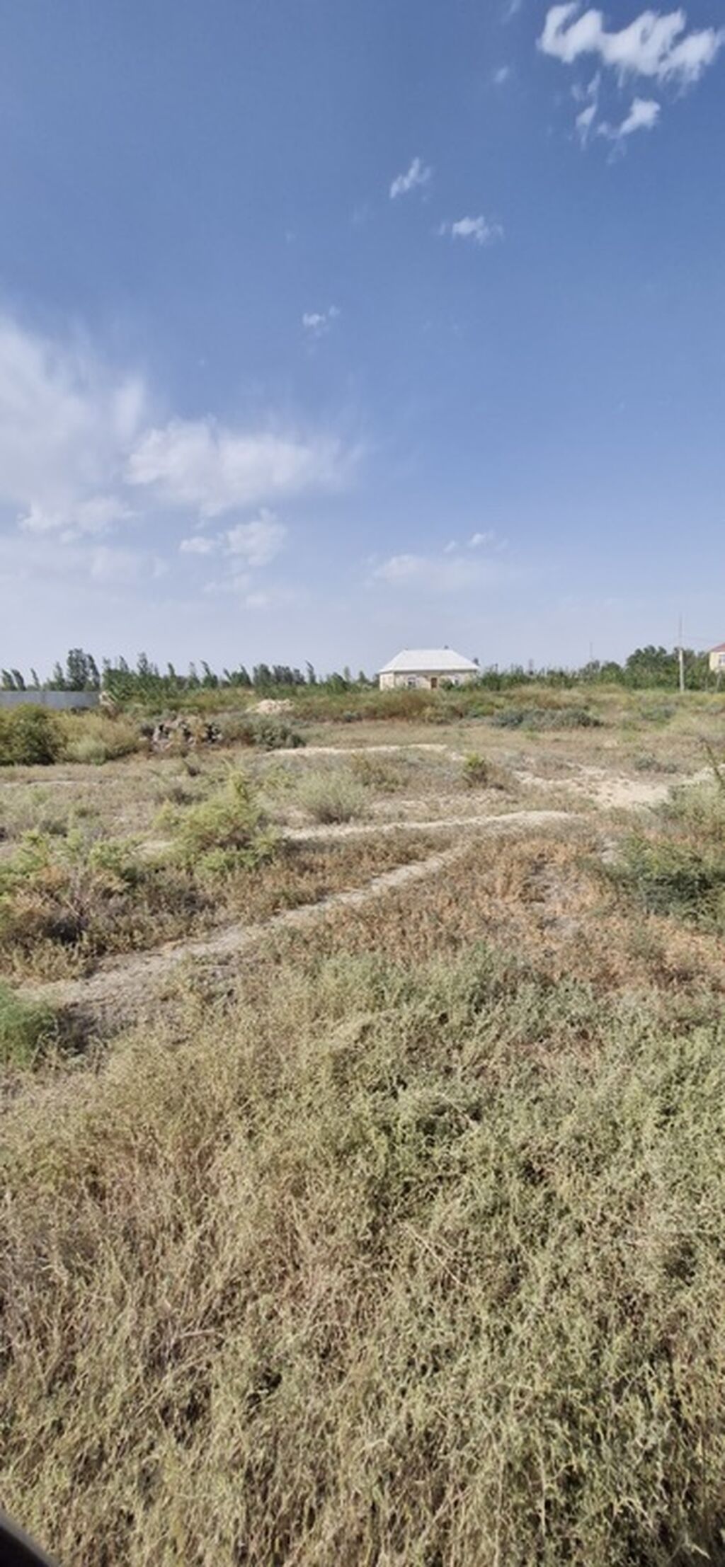 Tikinti — Torpaq, Salyan (8)
