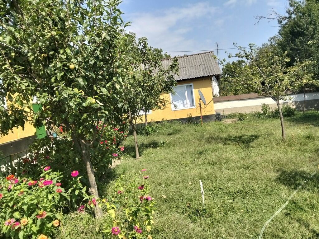 Vəndam, 5 kv. m, 3 otaqlı, Hovuzsuz — Daşınmaz əmlak, Qəbələ (2)